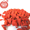 China Bayas a granel de Goji frutos secos Ningxia Goji